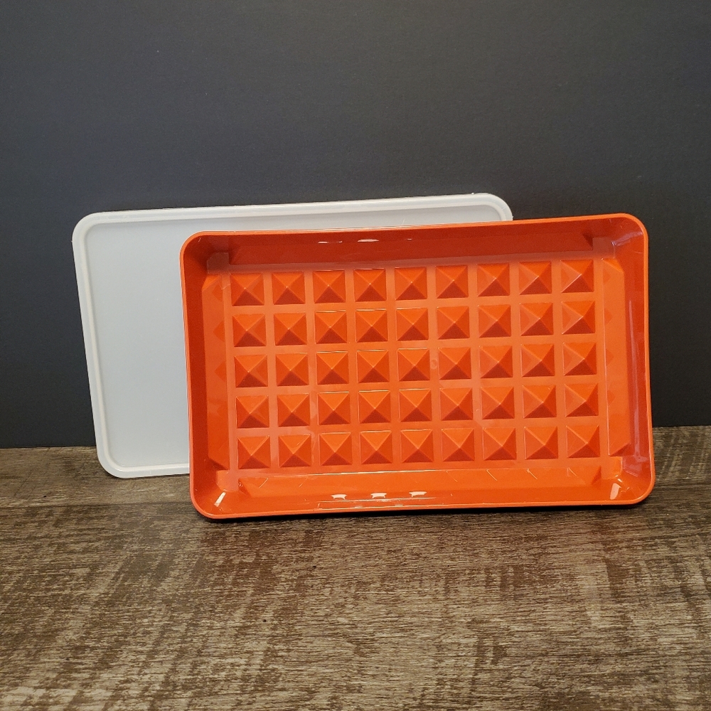 Vintage Tupperware #1292 Hot Dog, Meat Keeper. Marinator. With Lid.